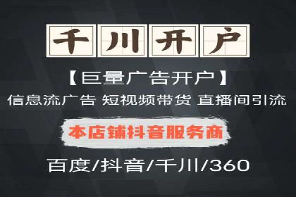 网络营销新篇章：竞价推广案例分析